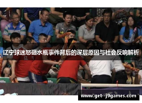 辽宁球迷怒砸水瓶事件背后的深层原因与社会反响解析
